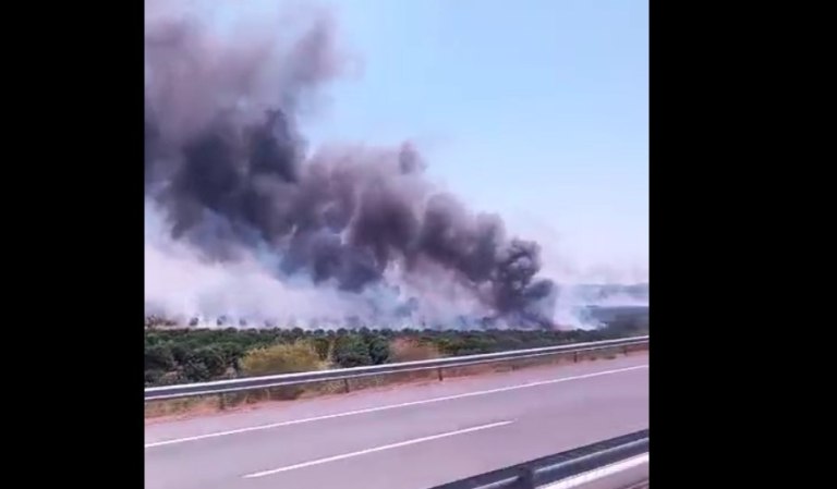 Αγρίνιο: Πυρκαγιά στην Ιόνια Οδό κοντά στην Γουριώτισσα