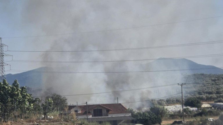 Φωτιά στη Νεάπολη Αγρινίου – Επιχειρούν εναέρια