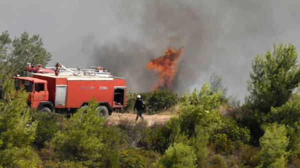 Διάσπαρτες εστίες στο Αμύγδαλο Τυρνάβου