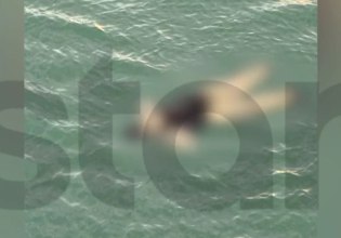 Μυστήριο με τη νεκρή γυναίκα στο λιμάνι του Πειραιά