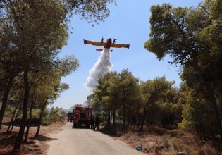 Φωτιά στην Πάτρα: Προληπτική εκκένωση του Καραμανδάνειου