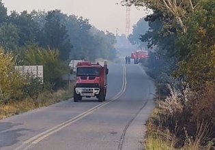 Σε ύφεση η φωτιά στα Γρεβενά – Πώς την προκάλεσε 50χρονος που έχει προσαχθεί