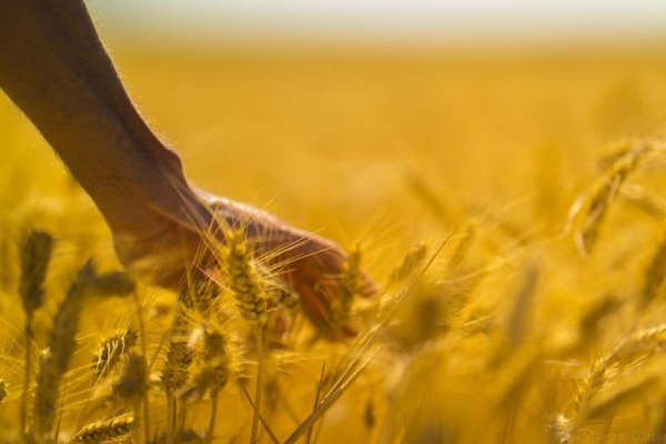 ΠΟΥ: Επτά μέτρα για την θερμική καταπόνηση των εργαζομένων διεθνώς