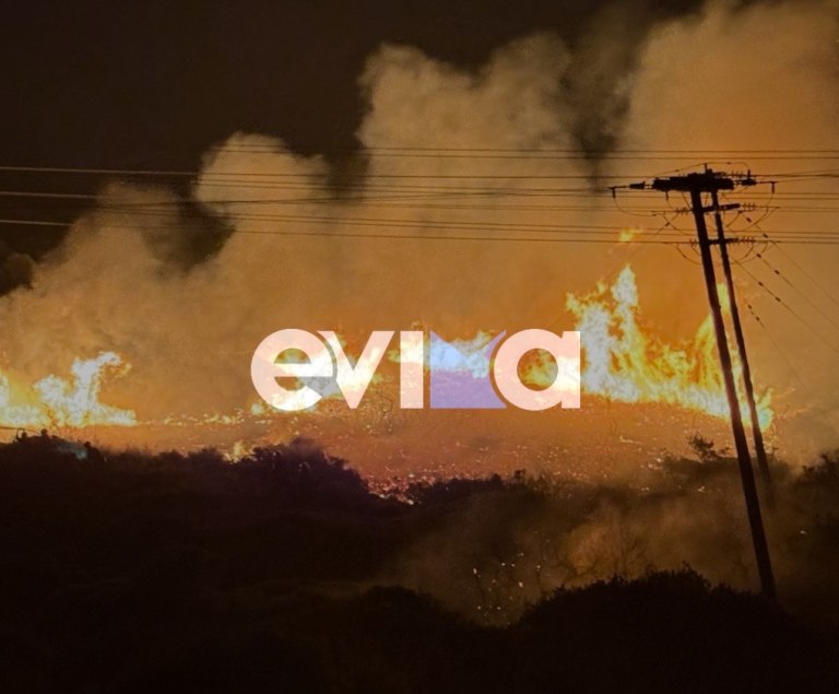 Φωτιά στην Εύβοια: Στις φλόγες δασική έκταση στα Μεσοχώρια – Σηκώθηκαν εναέρια