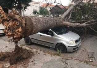 Κακοκαιρία: 100 κλήσεις δέχθηκε η Πυροσβεστική λόγω των ισχυρών βροχοπτώσεων και των θυελλωδών ανέμων