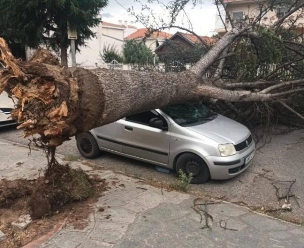 Κακοκαιρία: 100 κλήσεις δέχθηκε η Πυροσβεστική λόγω των ισχυρών βροχοπτώσεων και των θυελλωδών ανέμων