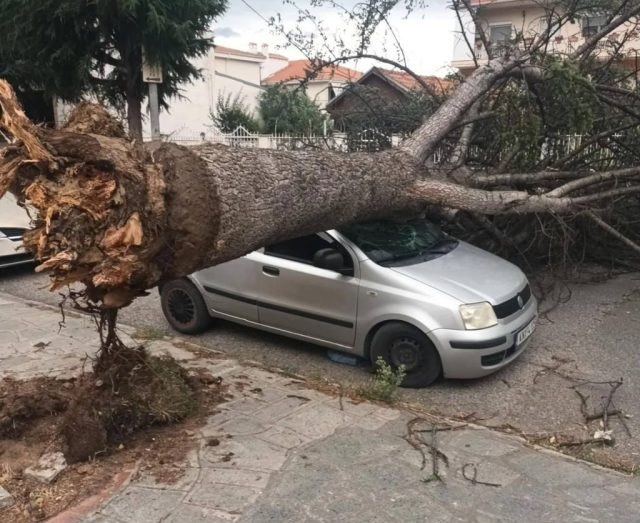Κακοκαιρία: 100 κλήσεις δέχθηκε η Πυροσβεστική λόγω των ισχυρών βροχοπτώσεων και των θυελλωδών ανέμων
