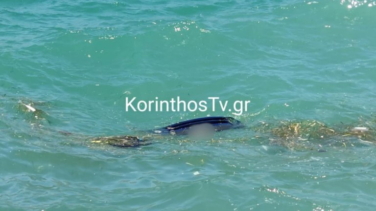 Κόρινθος: ΙΧ έπεσε στη θάλασσα – Νεκρός ο οδηγός του