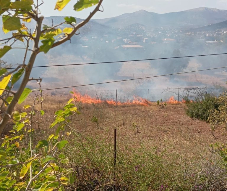 Φωτιά στην Αγία Μαρίνα στο Κορωπί