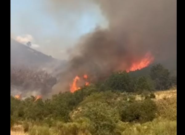 Σε εξέλιξη η φωτιά στο Λιβάδι στα Καλάβρυτα – Ενισχύθηκαν οι πυροσβεστικές δυνάμεις