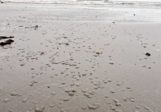 Βραζιλία: «Εξαφανίστηκε» η θάλασσα σε παραλία – Το σπάνιο φαινόμενο [βίντεο]