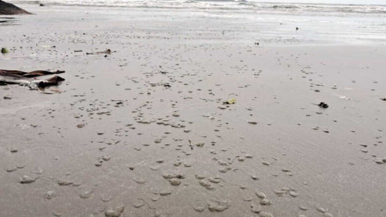 Βραζιλία: «Εξαφανίστηκε» η θάλασσα σε παραλία – Το σπάνιο φαινόμενο [βίντεο]