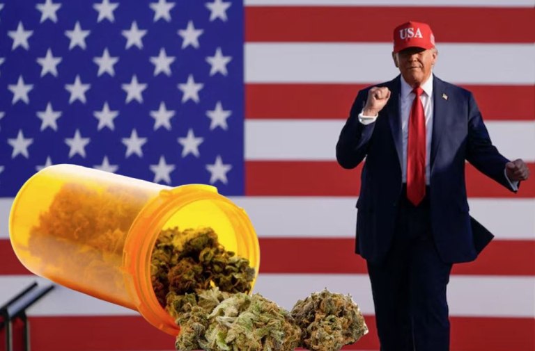 Μαριχουάνα: Ο Τραμπ δεν μπορεί ούτε καν να τη μυρίσει, αλλά σκέφτεται να την… επαναφέρει – Γιατί;