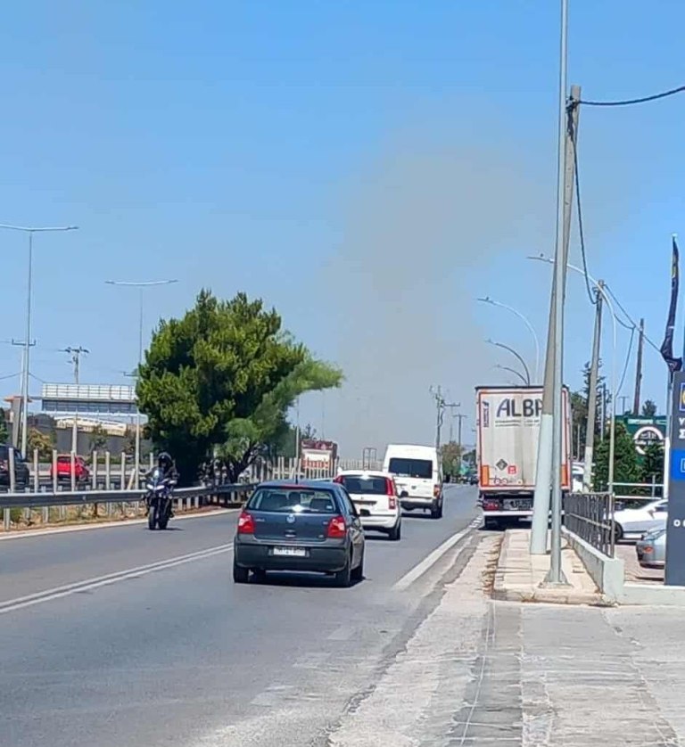 Οριοθετήθηκε η φωτιά στον Ωρωπό – Επιχειρούν και εναέρια