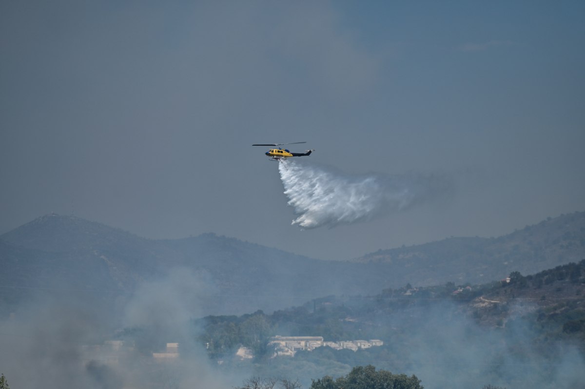 Πρέβεζα: Στάχτη πάνω από 34 χιλιάδες στρέμματα – Αποκαρδιωτικά στοιχεία από την υπηρεσία Copernicus