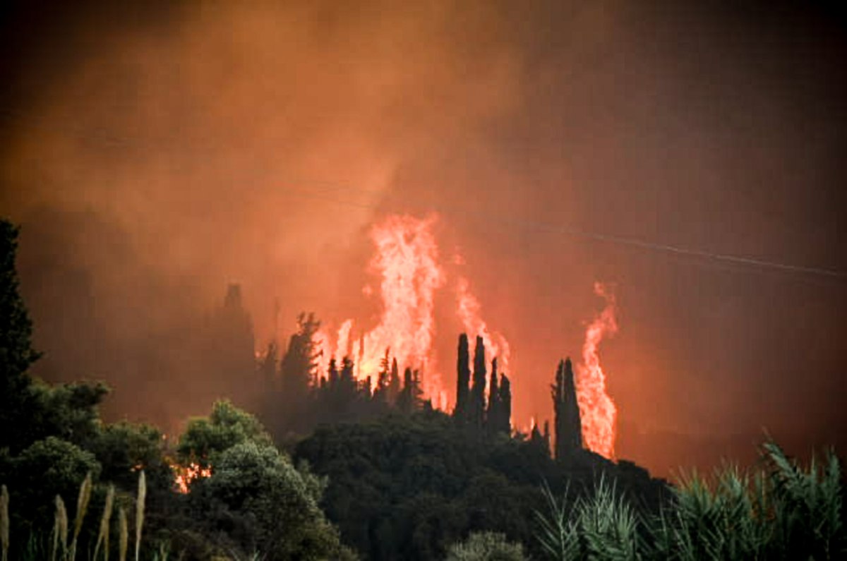 Από τον καπνό στην επιβίωση: πώς να μείνουμε ασφαλείς στις δασικές πυρκαγιές