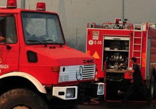 Φωτιά σε δασική έκταση στη Μεγαλόπολη