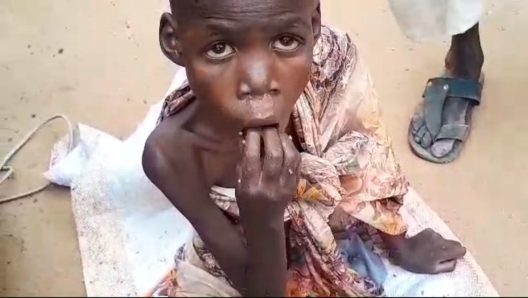 Σουδάν: Τουλάχιστον 17 άμαχοι νεκροί σε μια από τις πιο φονικές επιθέσεις των παραστρατιωτικών στην Ελ Φάσερ