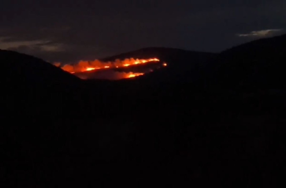 Σε εξέλιξη η φωτιά στον Τύρναβο – Ενισχύθηκαν οι πυροσβεστικές δυνάμεις