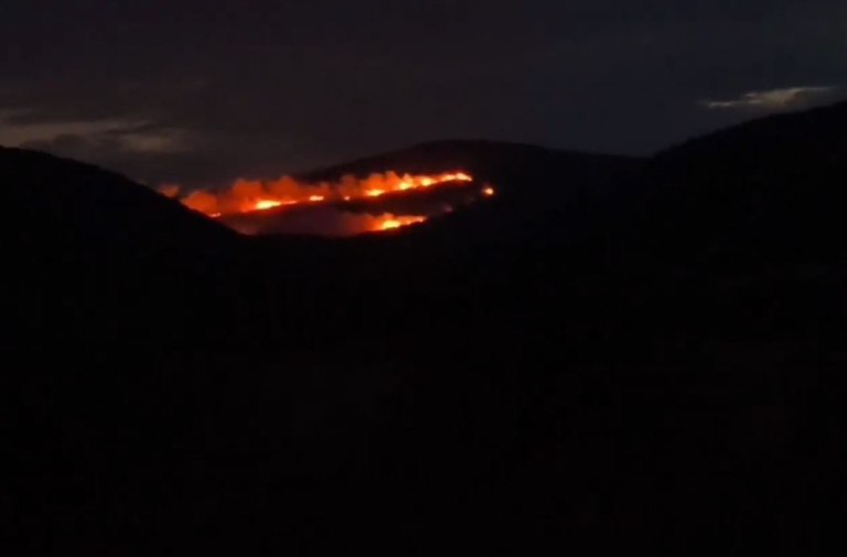 Σε εξέλιξη η φωτιά στον Τύρναβο – Ενισχύθηκαν οι πυροσβεστικές δυνάμεις