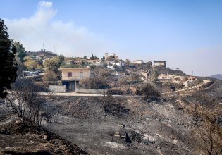 Χίος: Τρομακτικός ο αριθμός των καμένων εκτάσεων – Σοβαρές οι επιπτώσεις σε περιβάλλον και οικονομία