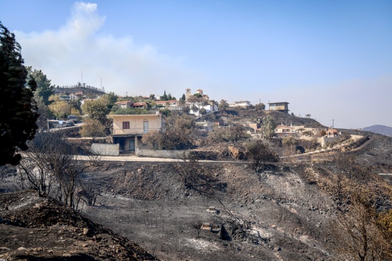 Χίος: Τρομακτικός ο αριθμός των καμένων εκτάσεων – Σοβαρές οι επιπτώσεις σε περιβάλλον και οικονομία