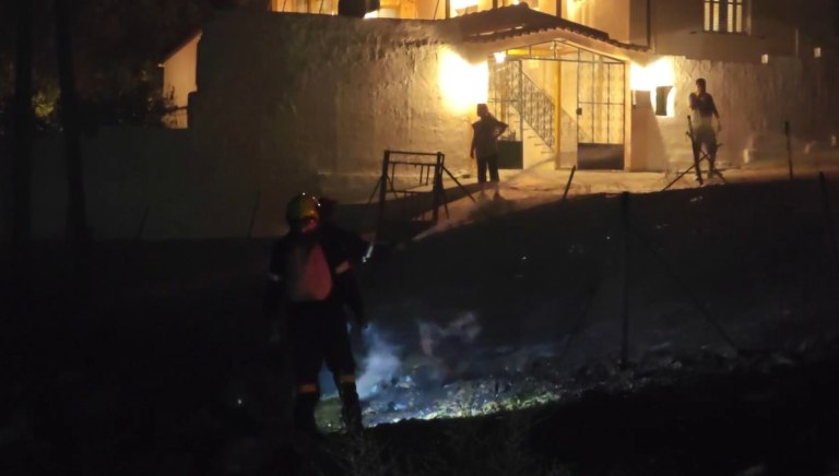 Σαλαμίνα: Βίντεο από τη φωτιά που έφτασε σε αυλές σπιτιών – «Είχαν γλέντι, έριξαν πυροτεχνήματα»