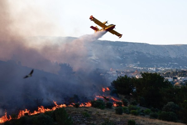 Φωτιά στην Λαγόμανδρα Χαλκιδικής – Ήχησε το 112, στη μάχη επτά εναέρια