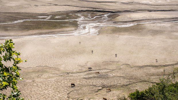«Μέχρι το τέλος Οκτωβρίου θα έχει αποκαλυφθεί ολόκληρο το χωριό Κάλλιο»- Κατά 52% μειώθηκε η επιφάνεια της λίμνης του Μόρνου σε τέσσερα χρόνια
