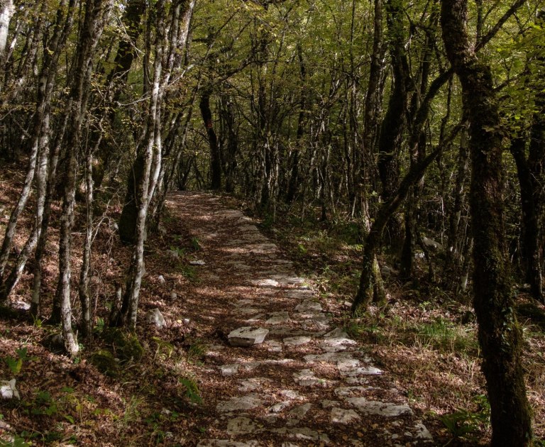 Ήπειρος: Τουρίστρια αγνοείται στο Ζαγόρι – Εξαφανίστηκε όταν εκείνος απομακρύνθηκε για να βγάλει φωτογραφίες