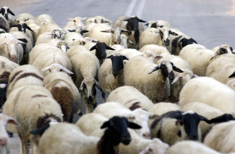 H Εξεταστική της συγκάλυψης και οι δημοσκοπήσεις της αποκάλυψης, οι πολίτες στέλνουν χαμπέρι «τέλος η ανοχή και η κάλυψη»