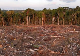 H EE αναβάλλει για δεύτερη φορά τον νόμο κατά της αποδάσωσης