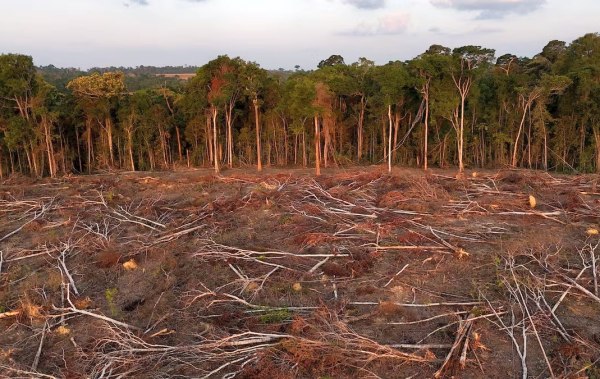 H EE αναβάλλει για δεύτερη φορά τον νόμο κατά της αποδάσωσης