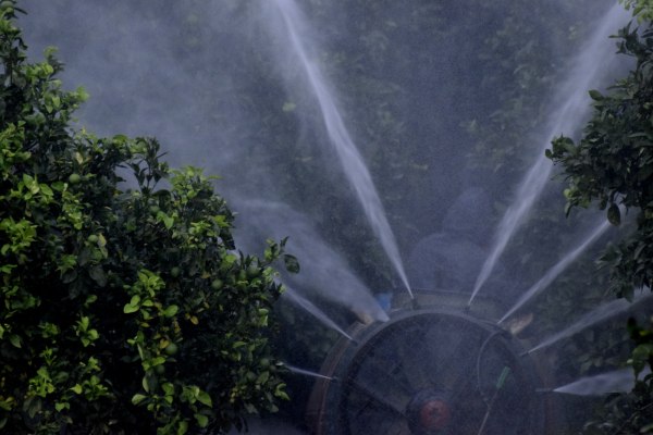 Καταδίκη της γαλλικής κυβέρνησης για παράνομη χρήση φυτοφαρμάκων – «Εκρηκτική απόφαση»