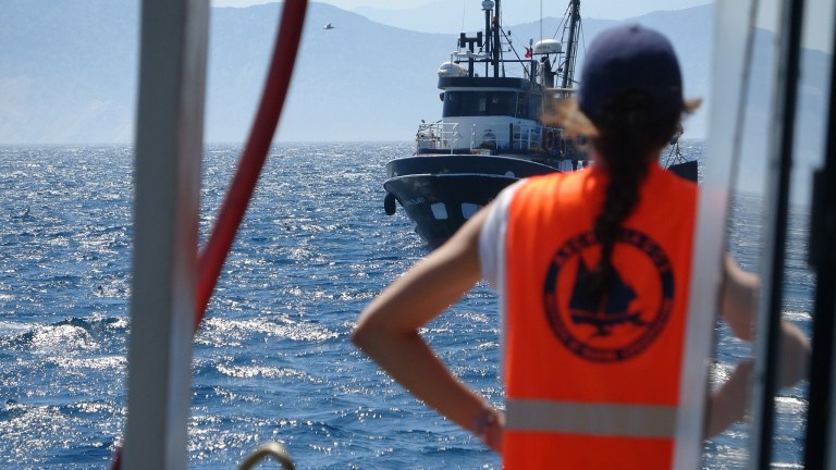 Ακήρυχτος πόλεμος για τα ψάρια στο Αιγαίο – Από το Θρακικό Πέλαγος έως τα Δωδεκάνησα