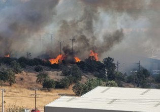 Φωτιά στα Οινόφυτα – Εκδηλώθηκε σε υπαίθριο χώρο εργοστασίου