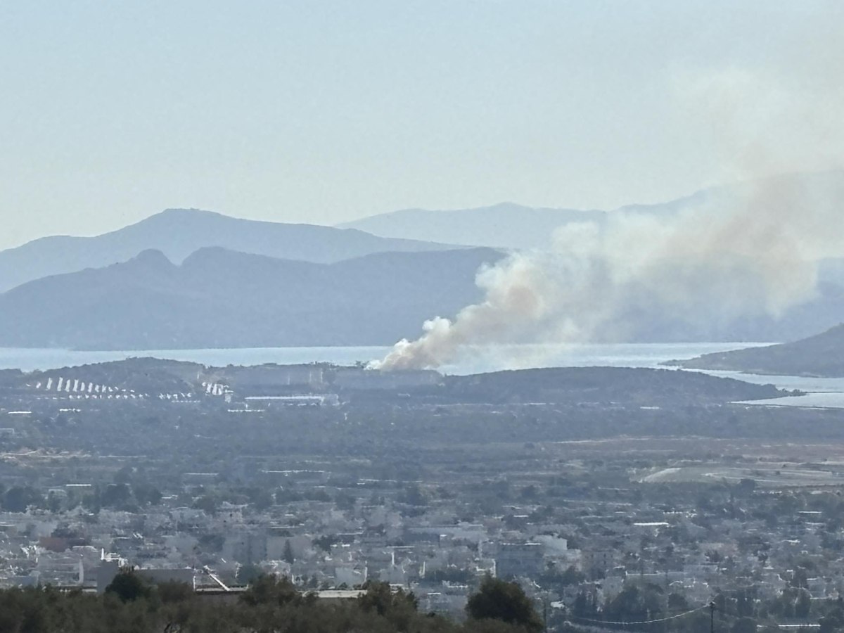Φωτιά στη Νέα Πέραμο στα Μέγαρα – Επιχειρούν ισχυρές πυροσβεστικές δυνάμεις