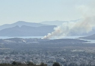 Φωτιά στη Νέα Πέραμο στα Μέγαρα – Επιχειρούν ισχυρές πυροσβεστικές δυνάμεις