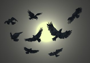 Αρκάς: Η σκοτεινή καλημέρα της Δευτέρας