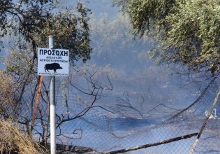 Τραγωδία στην Αρκαδία: «Από λάθος την πλήρωσε ο άνθρωπος» λέει μέλος της παρέας των κυνηγών