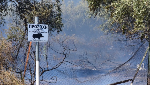 Τραγωδία στην Αρκαδία: «Από λάθος την πλήρωσε ο άνθρωπος» λέει μέλος της παρέας των κυνηγών