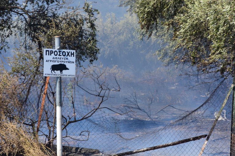 Τραγωδία στην Αρκαδία: «Από λάθος την πλήρωσε ο άνθρωπος» λέει μέλος της παρέας των κυνηγών