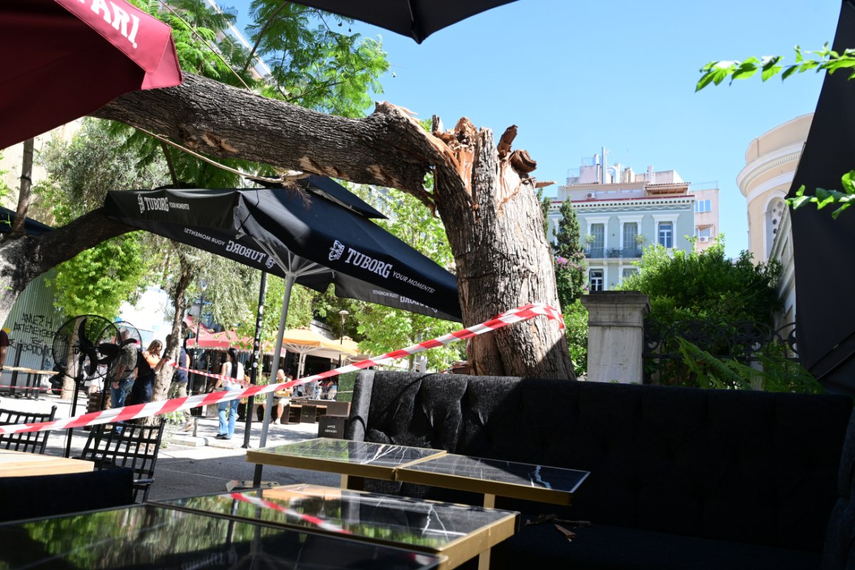 Βίντεο – ντοκουμέντο από την πτώση του δέντρου στην πλατεία Αγ. Ειρήνης