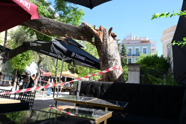 Βίντεο – ντοκουμέντο από την πτώση του δέντρου στην πλατεία Αγ. Ειρήνης