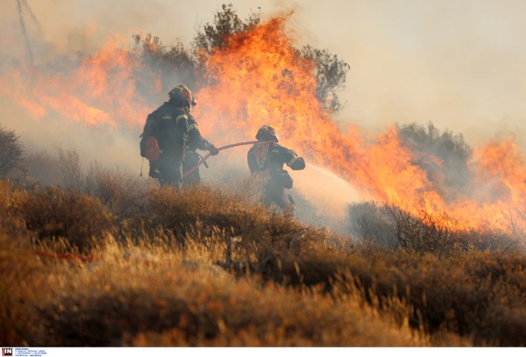 Ποινική δίωξη σε ιερέα για την φωτιά στο Μαρκόπουλο – Το πρόστιμο που του επιβλήθηκε