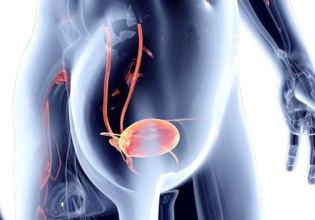 Ουρολοίμωξη: Νέες οδηγίες θεραπείας λόγω μικροβιακής αντοχής