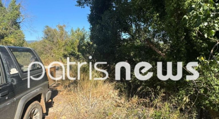 Αρκαδία: Ποιος είναι ο 57χρονος που σκοτώθηκε σε κυνήγι αγριογούρουνου – Το τραγικό παιχνίδι της μοίρας