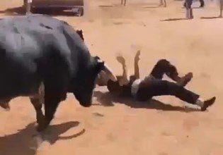 Ισπανία: Σοκαριστικό βίντεο – Η στιγμή που ταύρος τραυματίζει σοβαρά 17χρονο