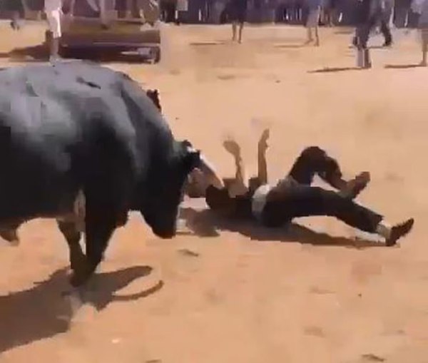 Ισπανία: Σοκαριστικό βίντεο – Η στιγμή που ταύρος τραυματίζει σοβαρά 17χρονο