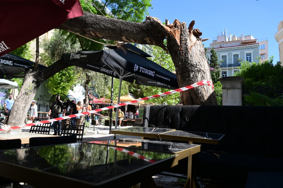 Πτώση δέντρου: «Εχασα πολύ αίμα, είπε η τραυματίας